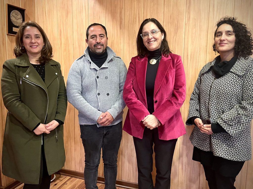 Superintendenta del Medio Ambiente dio a conocer estrategia de fiscalización a empresas instaladas en la bahía Quintero-Puchuncaví