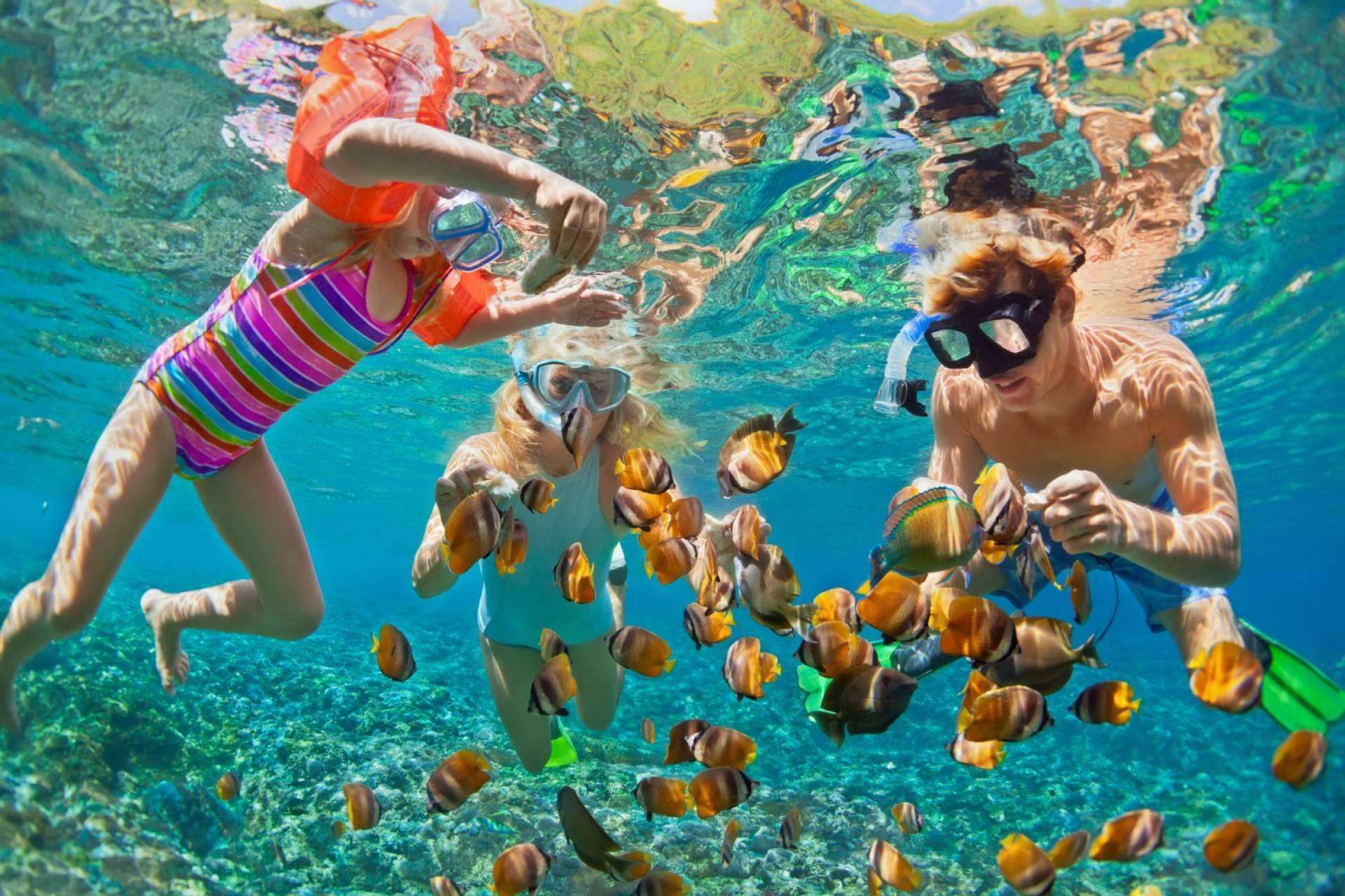 Hollywood Florida beachfront hotels, opciones para hospedarse y disfrutar de vistas al mar