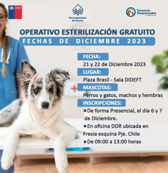 OPERATIVO GRATUITO DE ESTERILIZACIÓN DE MASCOTAS REALIZARÁ MUNICIPIO DE PUCÓN – Website de la Municipalidad de Pucón