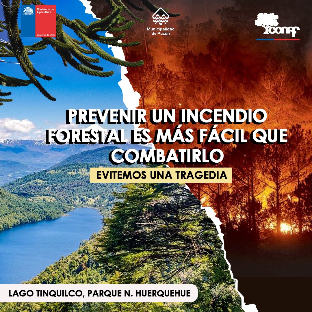 EN PUCÓN SE REUNIERON PARA ABORDAR RIESGOS DE INCENDIO FORESTAL ANTE ALTAS TEMPERATURAS ESTE FIN DE SEMANA – Website de la Municipalidad de Pucón