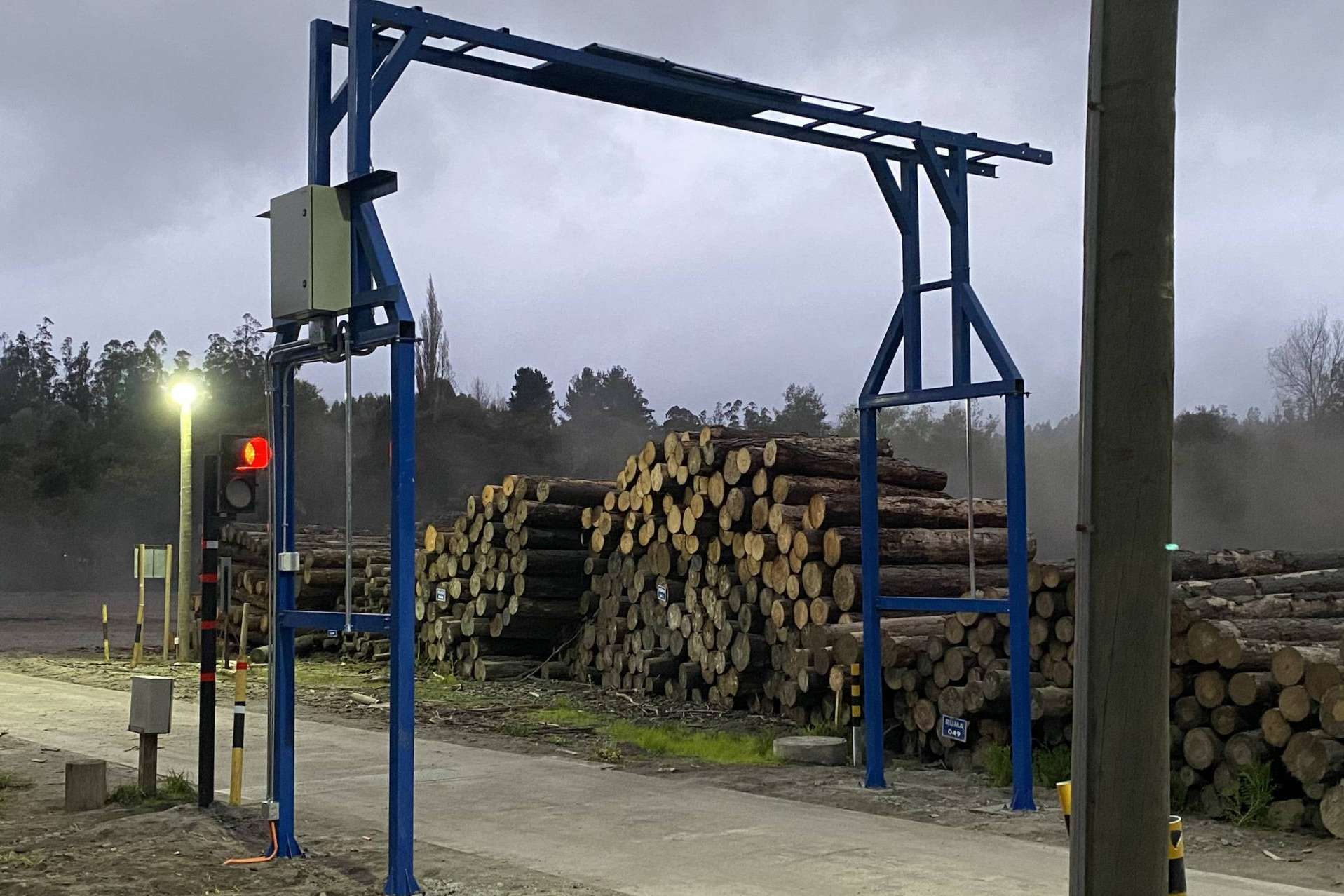 IA al servicio de la industria forestal