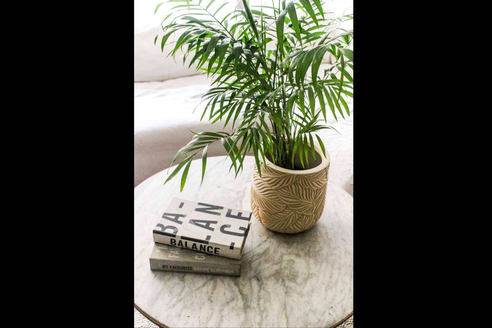 Plantas y diseño para todos los espacios, PlantMe refuerza su presencia en el mercado chileno